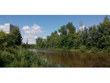 IMG 20190616 145622.jpg