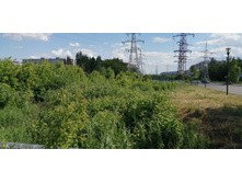 IMG 20190616 152848.jpg