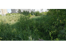 IMG 20190616 153922.jpg