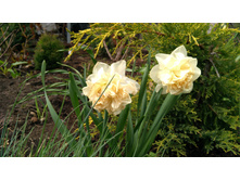 IMG 20190503 145330.jpg