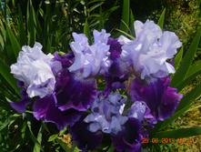 ��� �����,��� ������� 2.