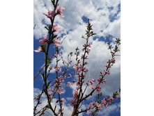 5cd86de65b20f img-2ca1cf61f3ac7f6a5616ea5e55b747e4-v.jpg