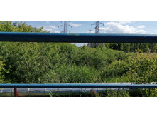 IMG 20190616 152644.jpg