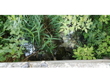 IMG 20190616 154009.jpg