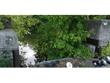 IMG 20190616 154812.jpg