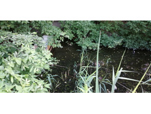 IMG 20190616 153709.jpg