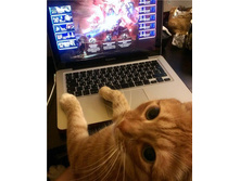 ����� � ��������� �� ������ ��� �� ���