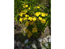 �������. 50 � - ������ �� 3 ���������.