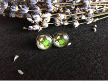 ������ (76).jpg