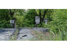 IMG 20190616 155308.jpg