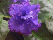 ��-������� � �.jpg