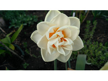 IMG 20190510 171647.jpg