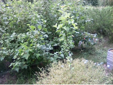 ������ �� �������� ������ ����� �������� 2018�