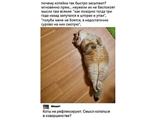 ������ ���� ��� ������ ��������?