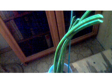 ���������� ��������