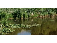 IMG 20190616 150624.jpg