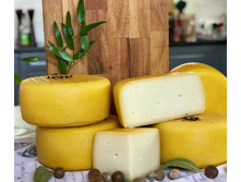 ��� ����������