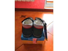 �������� ������� 29�