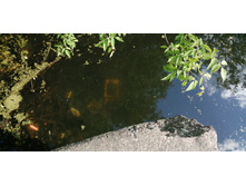 IMG 20190616 154951.jpg