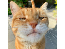 �� ������?