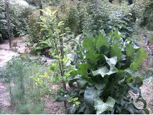 ������ �� �������������� ������ ����������� ������� 2018�