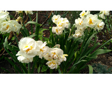 IMG 20190503 145447.jpg