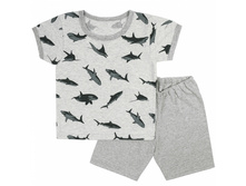 ������ �������:332�  198���