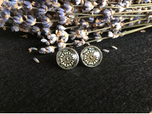 ������ (46).jpg