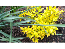 IMG 20190503 145437.jpg