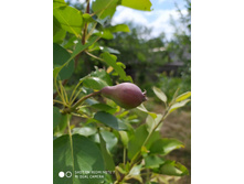 IMG 20190616 101249.jpg