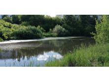 IMG 20190616 162158.jpg