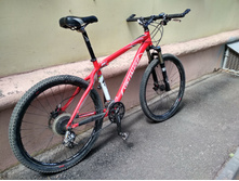 IMG 20190615 123121 HDR.jpg