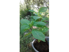 350� ��������� �������