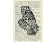 ������� �� ������: ����