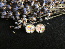 ������ (27).jpg