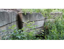 IMG 20190616 154142.jpg