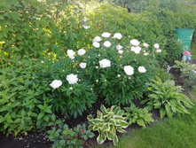 IMG 20190608 182221.jpg