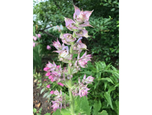 ������ ��������� ������������ 24