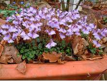 ����������� ������.jpg