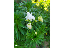 IMG 20190608 154459.jpg