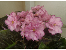 ��-������������ ����.jpg