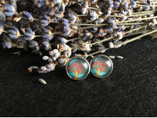 ������ (62).jpg