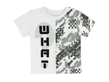 �������� WHAT �������:1011� ��  194���