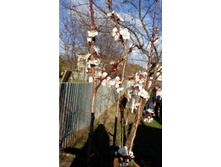 ������� "������ ��������