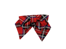 �������-���� ��� ������� GAL-12� ��� ����� ������� 251���