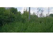 IMG 20190616 153741.jpg