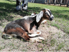 2019.07.14 12-15-00 (IMG 20190714 121500) GlebKa.jpg