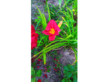 �������� ������ ��