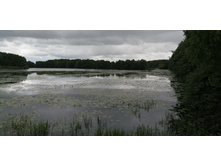 IMG 20190629 100206.jpg