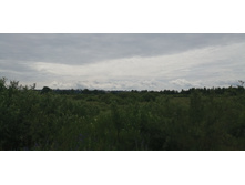 IMG 20190630 125700.jpg